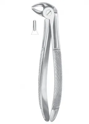 Fig. 13S lower premolars for children